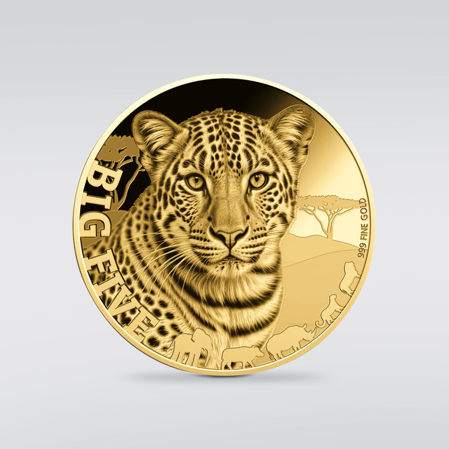 1-200-oz-Gold-Big-Five-Leopard-Goldmuenze.jpg